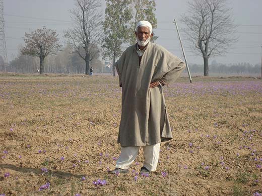 Haji Aqil, 72 is the fifth generation farmer.