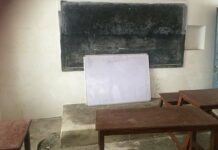 Tral Schools Battle Tin Sheds, Overcrowding, Staff Shortage
