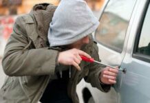 Petty Thefts, Big Deal