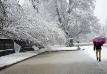 Kashmir Valley Receives Season’s First Snowfall