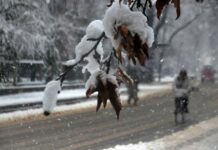 Carpeting Valley White A man rides on bicycle during snowfall in Kashmir.