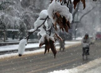 A man rides on bicycle during snowfall in Kashmir.