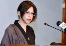 ‘Pakistan to Continue Political, Diplomatic Support to Kashmiris’