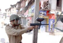 The 'controversial' Pellet Gun