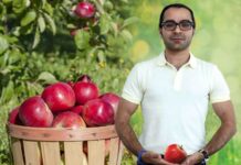 Dream Apple