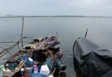 Netting the Living