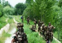 Kashmir: Tral shuts to mourn Adil’s killing, militants offer gun salute