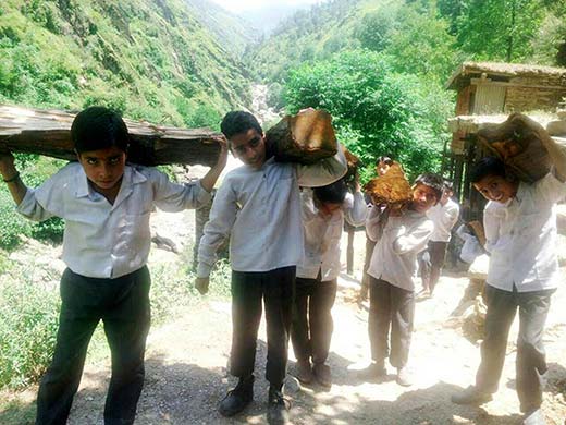 A picture from Jammu region wherein students were forced by teachers to ferry logs of wood.