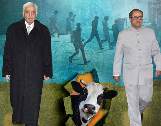 Cover-The-Cow-Divides