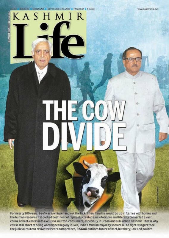 Front-Page-The-Cow-Divides