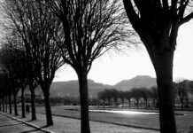 Monotonous Melody