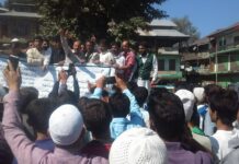 Beef Ban: AIP Starts Signature Campaign