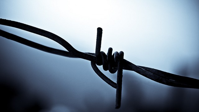 Barb wire