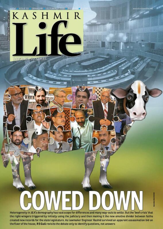 Cowed-Down-cover-page