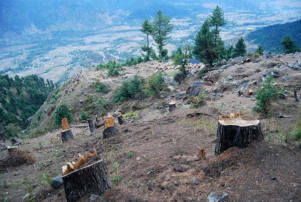 Deforestation-in-Kashmir