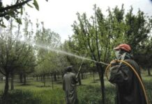Advisory for Orchardists
