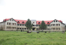 DAV Divide
