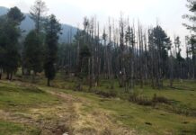 Muslims Donate Land for Hindu Temple Road in JK’s Reasi