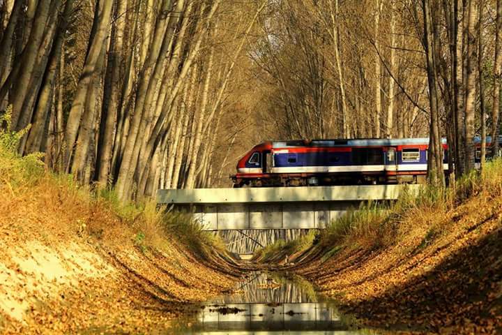 Train in Kashmir