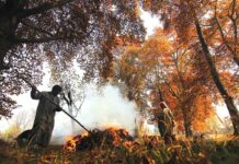 Carbon Costs