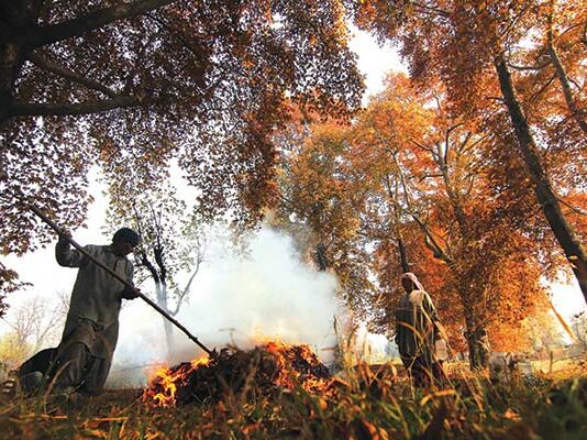 Jammu Climbs in Air Quality Ranking, Srinagar Slips to 26th