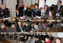 Dialogue will Lead to Long-Term Strategic Partnership between India, Pakistan: Mufti