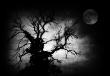A Midwinter Night’s Nightmare