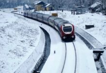 Season’s First Snowfall in Kashmir