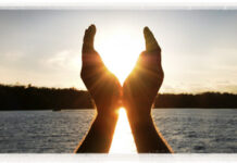 Seeds of Hope…