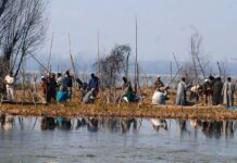 How Kashmir Can Re-emerge A Fish Reservoir, Again?