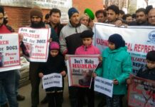 Volunteers Protest Growing Dog Menace, Write to Divisional Commissioner