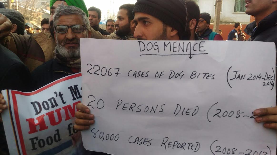 Dog Protest