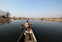 Outing in Anchar