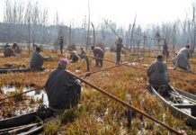 On Kashmir Wetland Deterioration, NGT Issues Notices, Finally