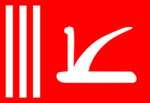 Some People Creating Instability over State Flag: Govt