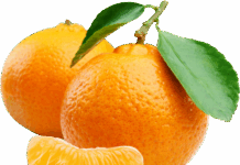 Anti-Oxidants: Magic Molecules Against Pro-Oxidant Menace?