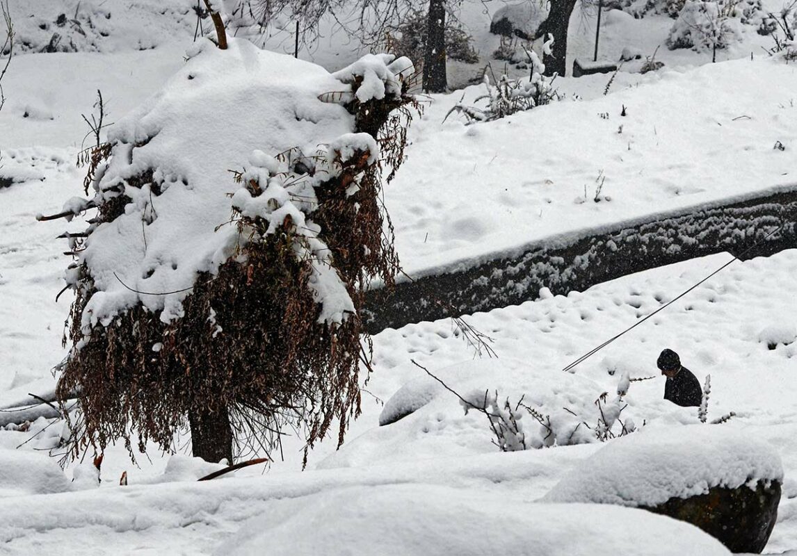 TANGMARG-(12)
