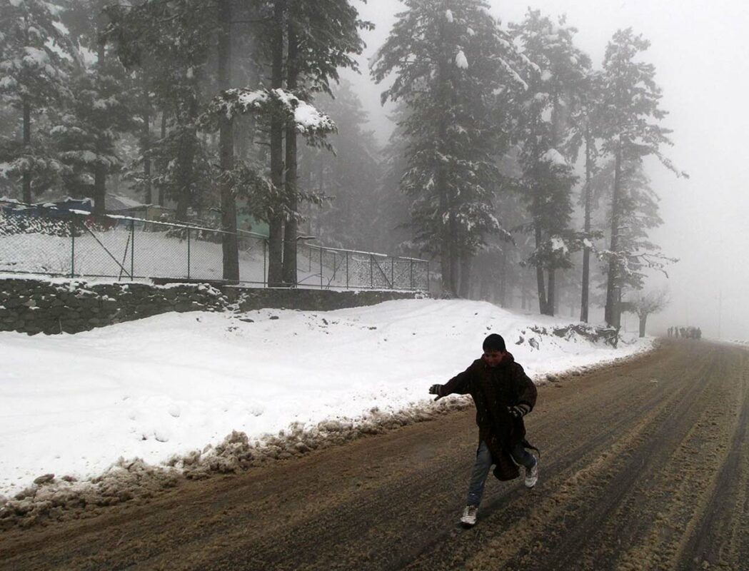 TANGMARG-(9)
