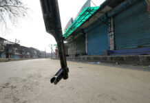Pulwama Killings: Valley Shuts in Protest, 12 Injured in Day-Long Clashes