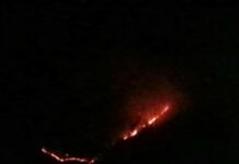 Forest Fire Erupts in South Kashmir’s Shopian