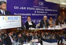 Matching Infrastructure Key to Industrial Growth: Ganai