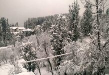Fresh snowfall in South Kashmir's Qazigund. (KL Image by Special Arrangement)