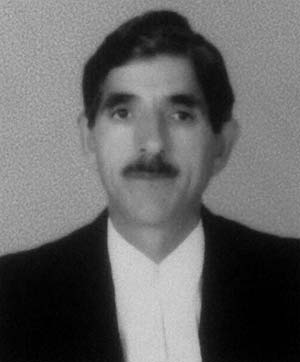 Abdul-Aziz-Wani-Grey