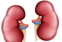 World Kidney Day: Only 5 Per Cent of Kidney Patients in Kashmir Access Life-Saving Transplants