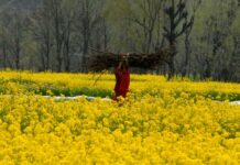 JK’s Oil Industry To Witness Significant Transformation with ₹ 1290 Cr Outlay: Govt