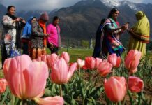 Mainly Clear Weather In Jammu And Kashmir During Next 24 Hours: MeT Dept