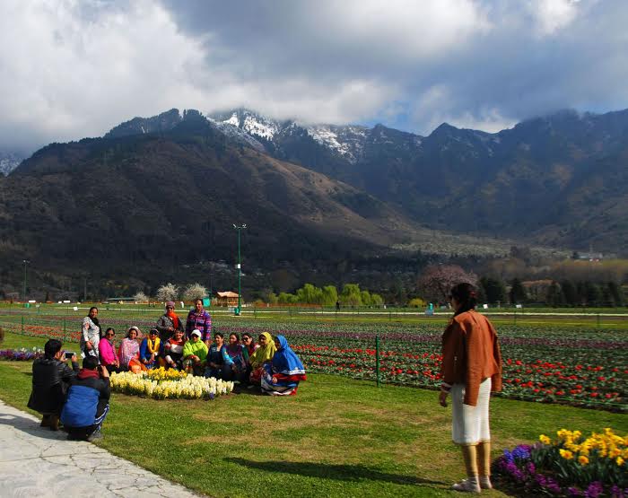Tulip Garden