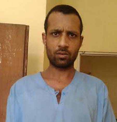 Adil-Rashid-in-2016
