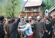 Was Naik Martyred for Being a PDP Supporter, asks Rasheed