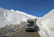 Light Motor Vehicles Allowed to Ply on Srinagar-Leh Highway